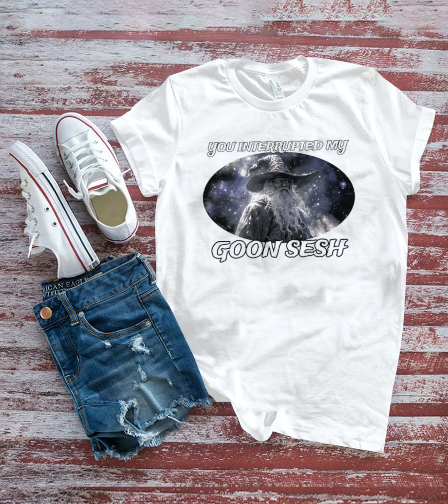 You Interrupted My Goon Sesh Wizard T-Shirt