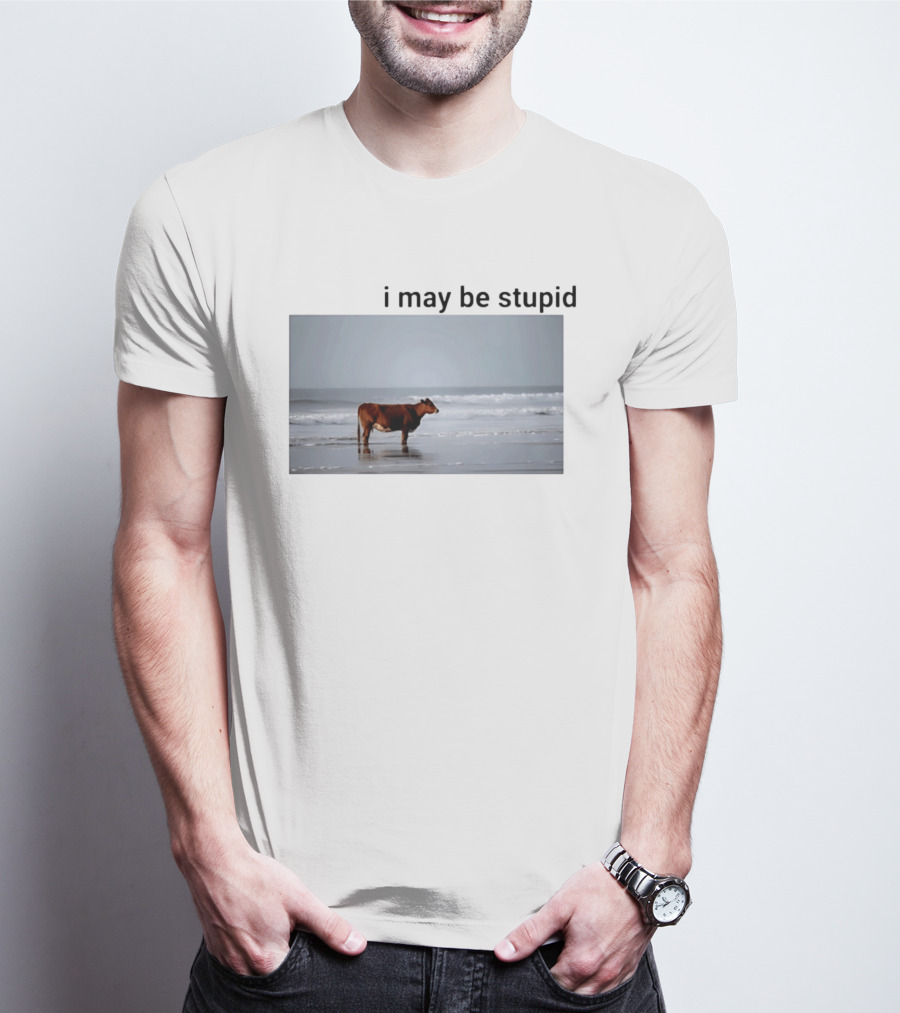 I May Be Stupid Cow At The Beach T-Shirt