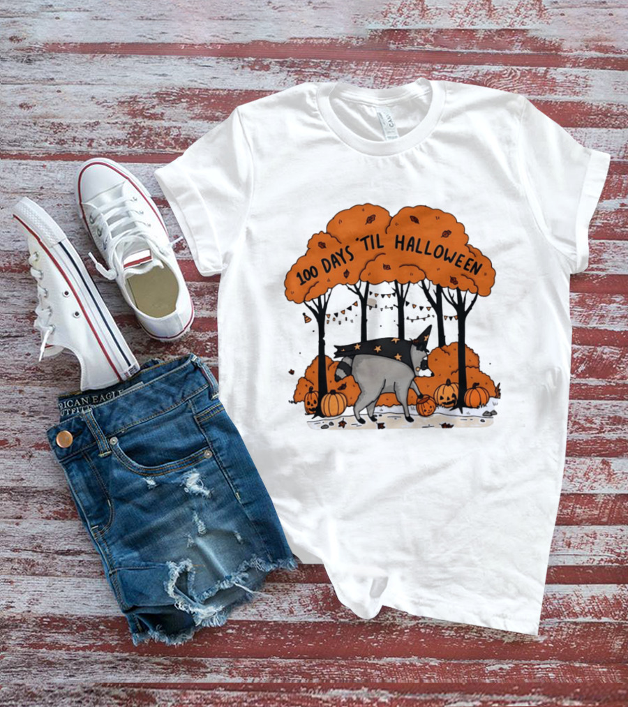 100 Days 'til Halloween Raccoon Wizard Costume In Pumpkin Patch Forest T-Shirt