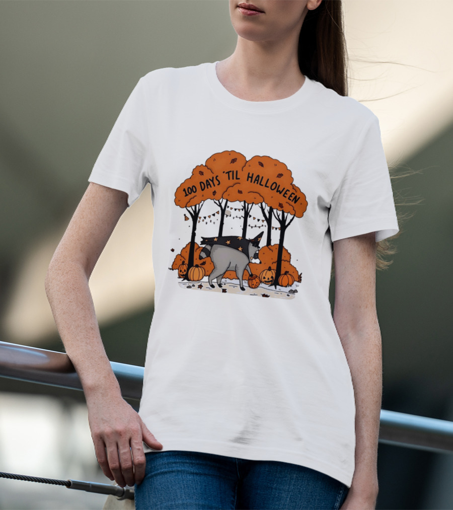 100 Days 'til Halloween Raccoon Wizard Costume In Pumpkin Patch Forest T-Shirt