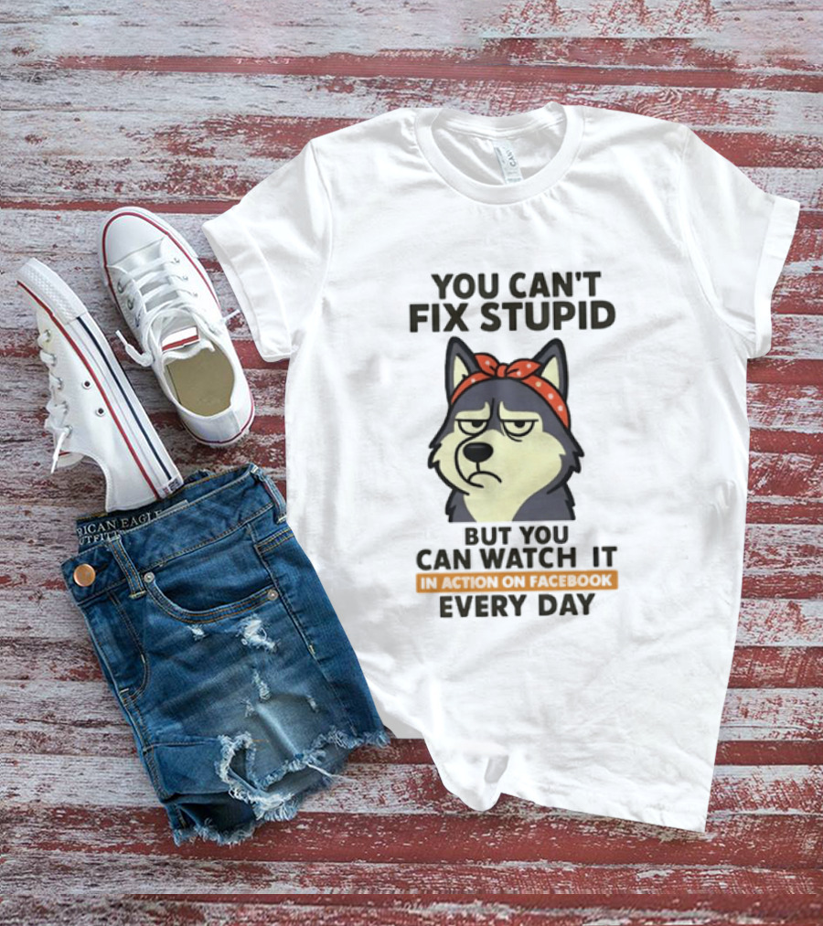 You Can't Fix Stupid But You Can It Every Day Husky T-Shirt