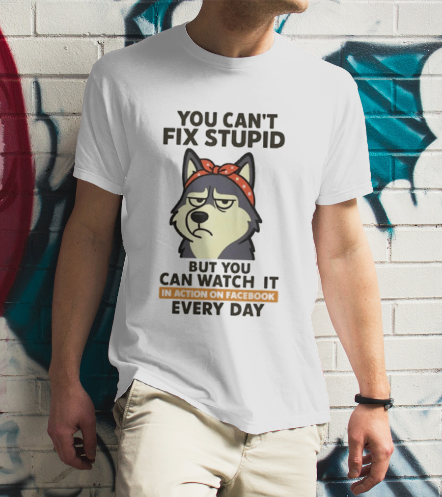 You Can't Fix Stupid But You Can It Every Day Husky T-Shirt