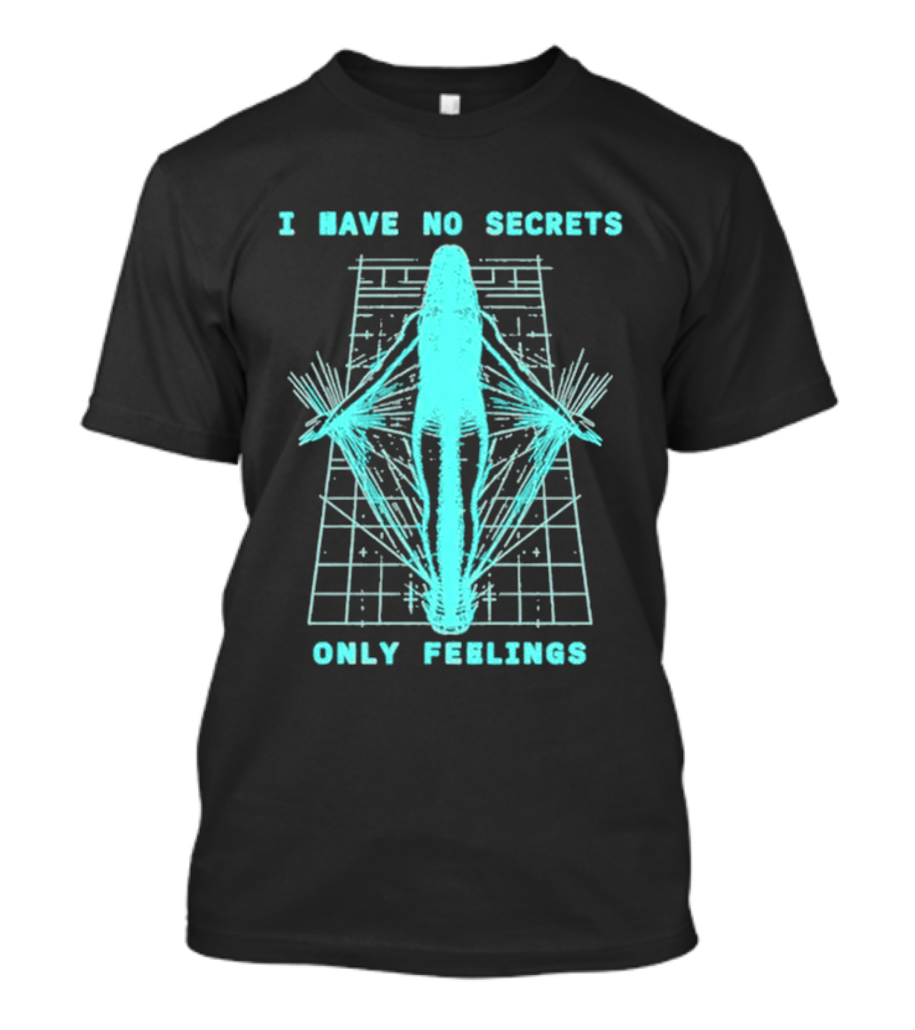 Phoebe Bridgers I Have No Secrets Only Feelings 2026 The Lost Tour T-Shirt