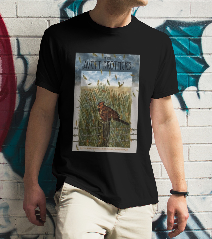The Avett Brothers Westville Music Bowl New Haven CT Sep 17 2026 Cardinal In Field T-Shirt