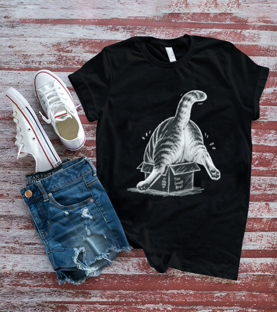 Too Small Bro Tabby Cat Stuck In Box Rear View T-Shirt