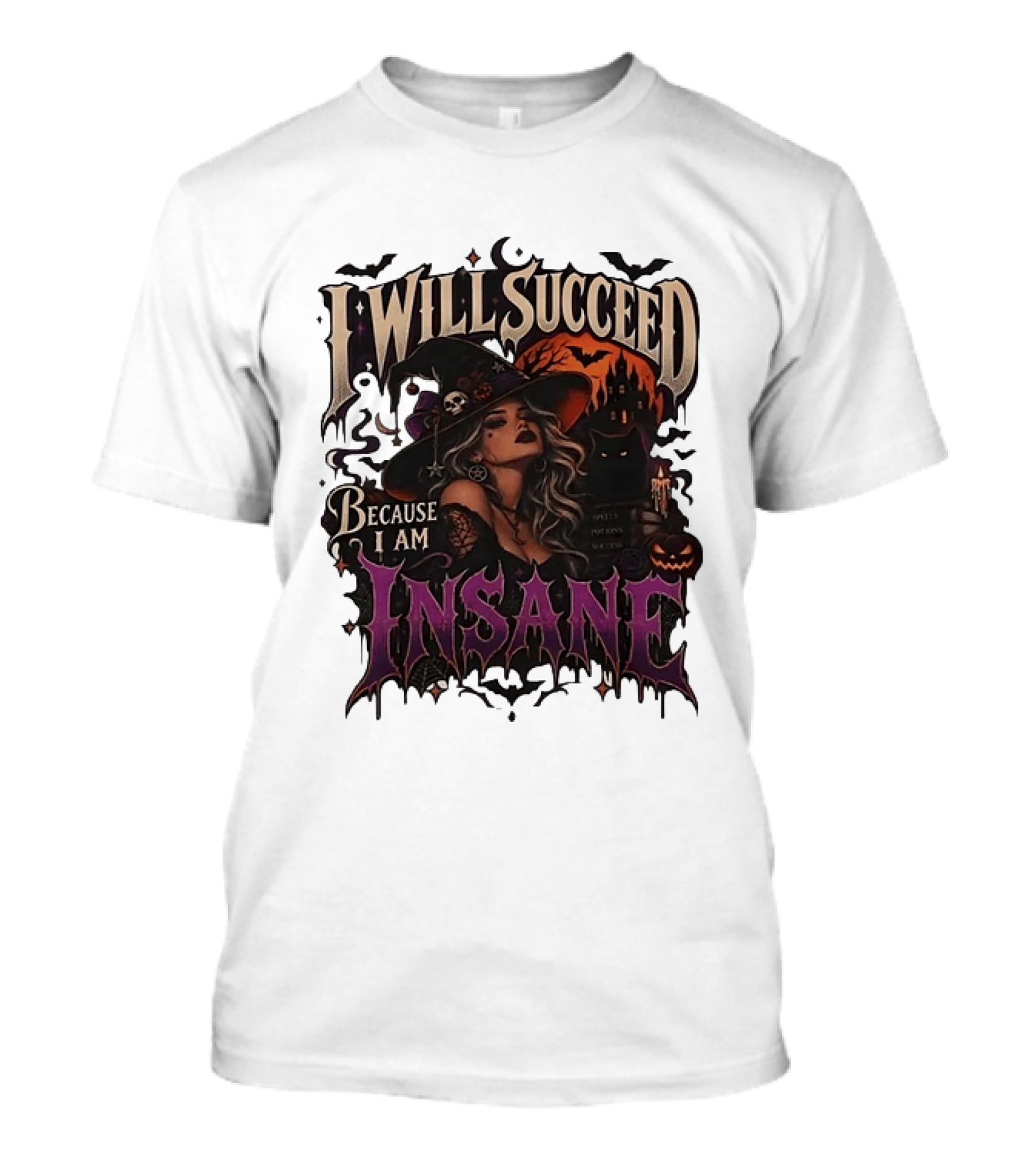 I Will Succeed Because I Am Insane Witch Halloween Magic Potion Black Cat Pumpkin T-Shirt