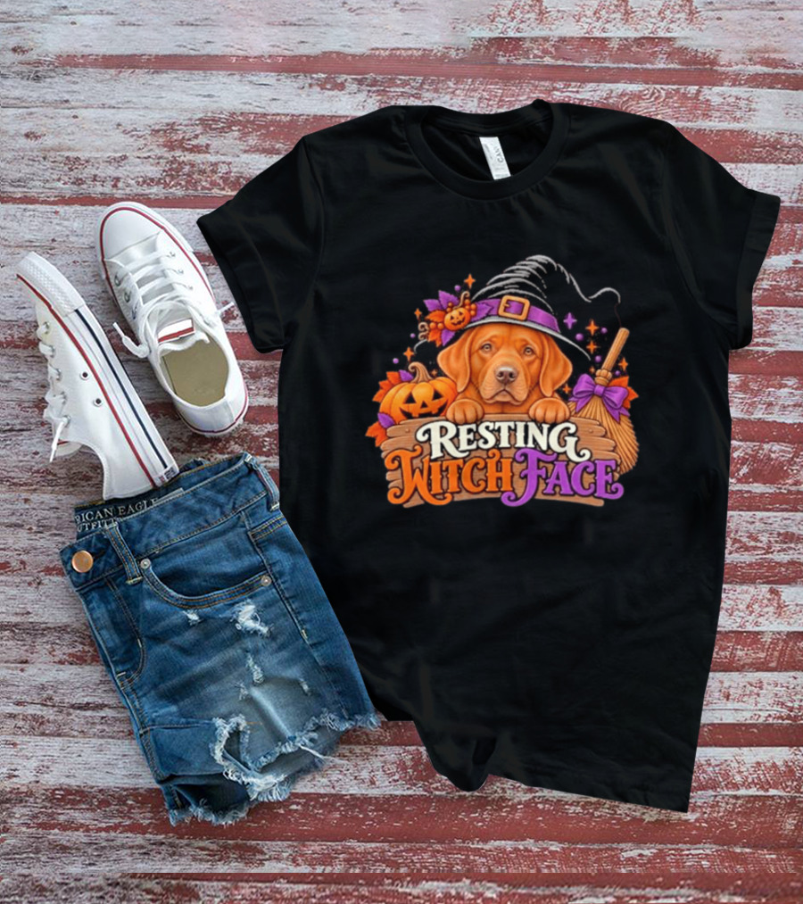Resting Witch Face Dog Witch Hat Pumpkin Broom Halloween T-Shirt