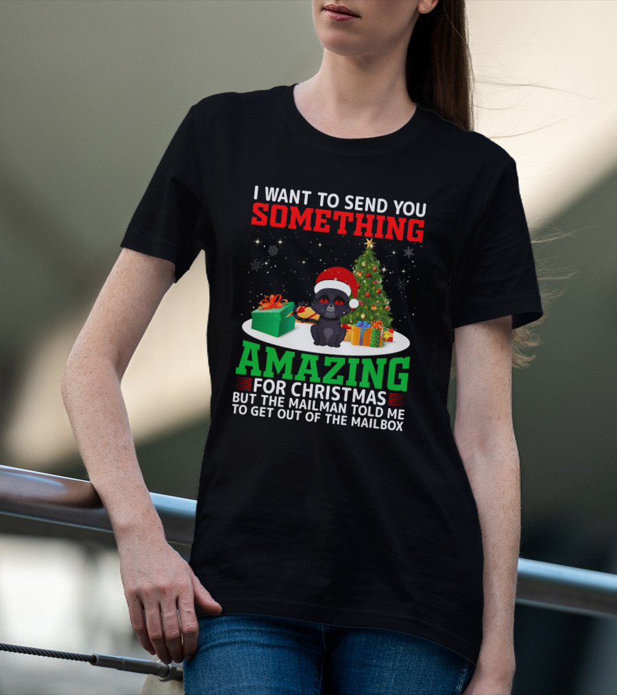 I Want To Send You Something Amazing For Christmas But The Mailman Told Me To Get Out Of The Mailbox T-Shirt