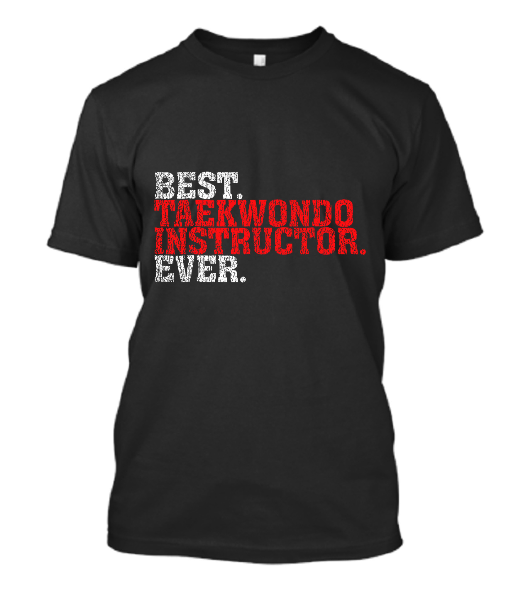 BEST TAEKWONDO INSTRUCTOR EVER T-Shirt