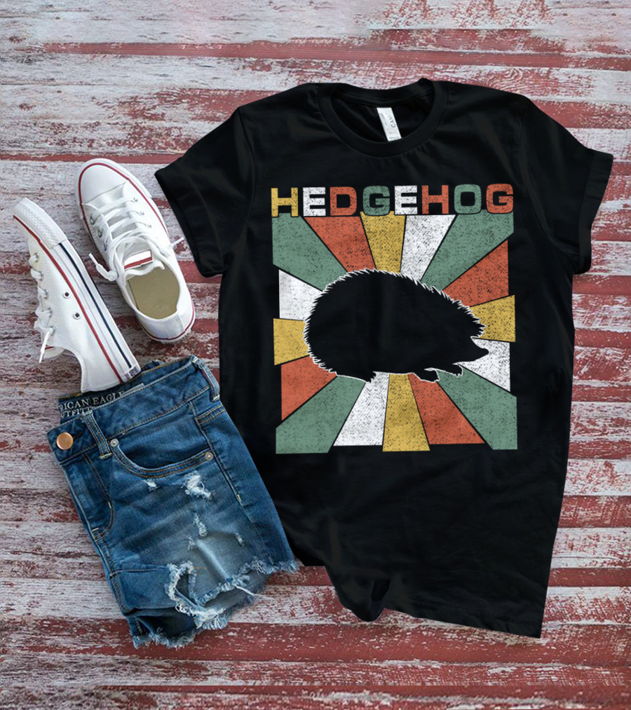Hedgehog Retro 70s Silhouette Vintage Stripe Burst T-Shirt