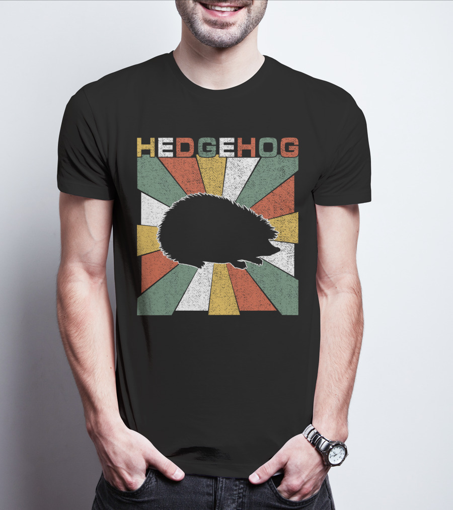 Hedgehog Retro 70s Silhouette Vintage Stripe Burst T-Shirt