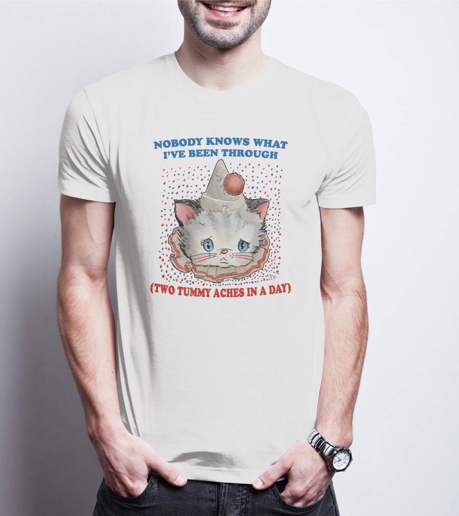 NOBODY KNOWS WHAT I'VE BEEN THROUGH (TWO TUMMY ACHES IN A DAY) CUTE PARTY HAT CAT T-Shirt