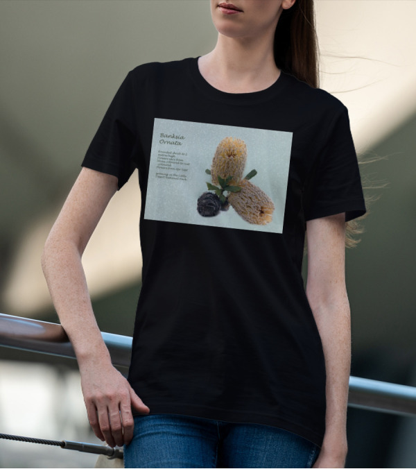Banksia Ornata Rounded Shrubs Little Desert National Park Flowers T-Shirt