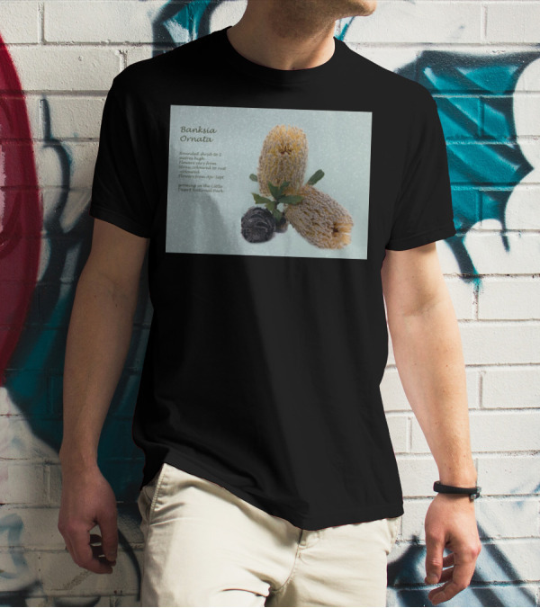 Banksia Ornata Rounded Shrubs Little Desert National Park Flowers T-Shirt