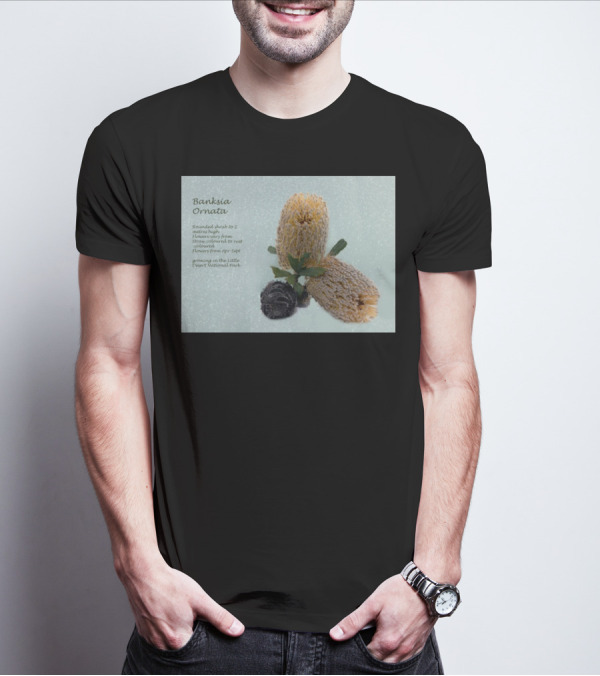 Banksia Ornata Rounded Shrubs Little Desert National Park Flowers T-Shirt
