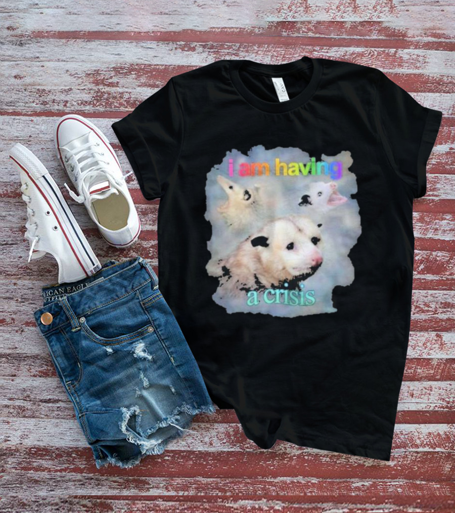 I Am Having A Crisis Possum T-Shirt