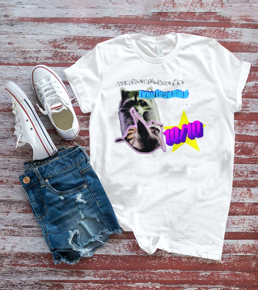 Words Can't Describe How Beautiful I Am But Numbers Can 10/10 Raccoon Star T-Shirt