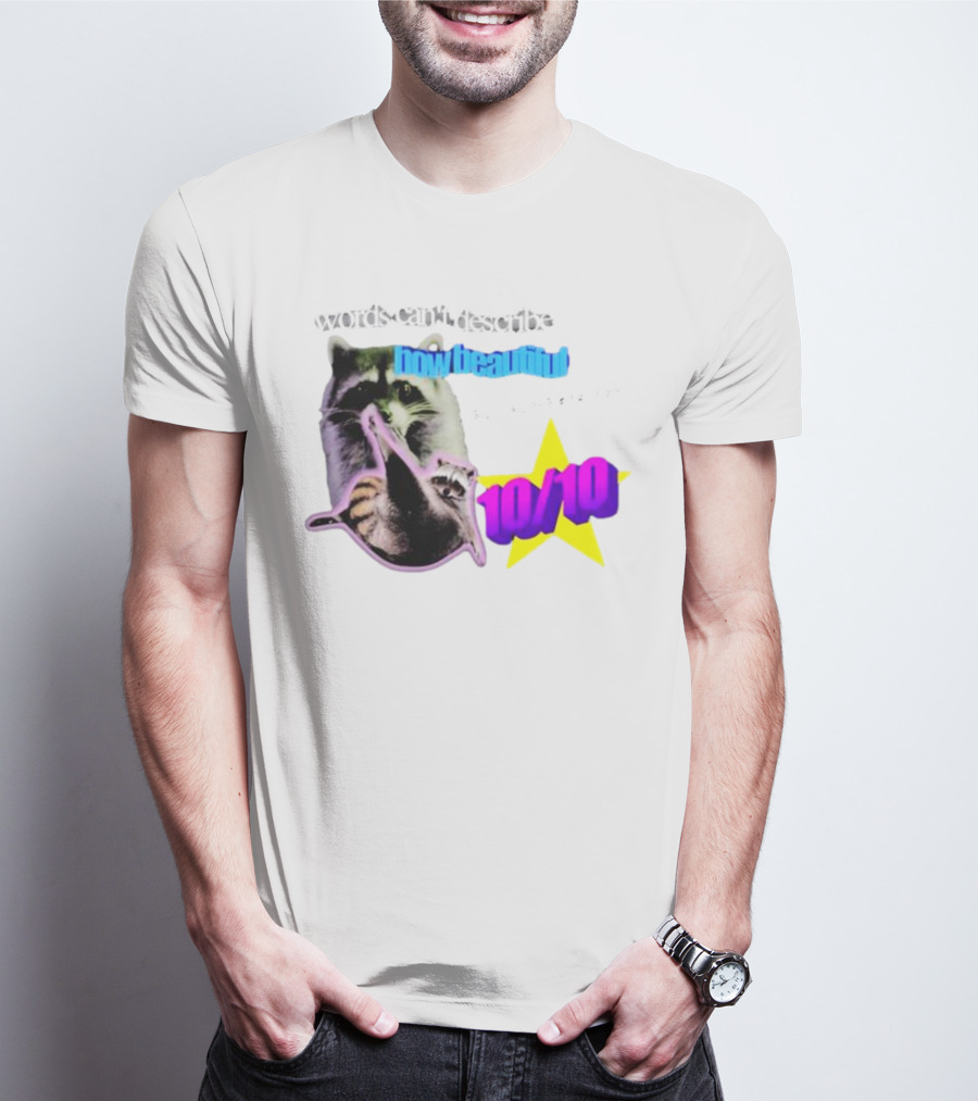 Words Can't Describe How Beautiful I Am But Numbers Can 10/10 Raccoon Star T-Shirt