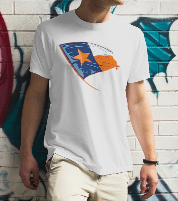 Houston Texas Lone Star Flag T-Shirt