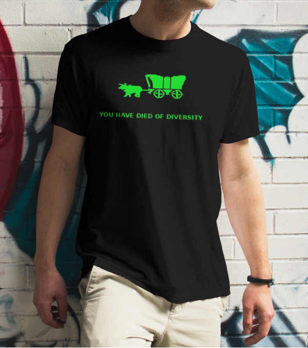 You Have Died Of Diversity Oregon Trail Pixel T-Shirt
