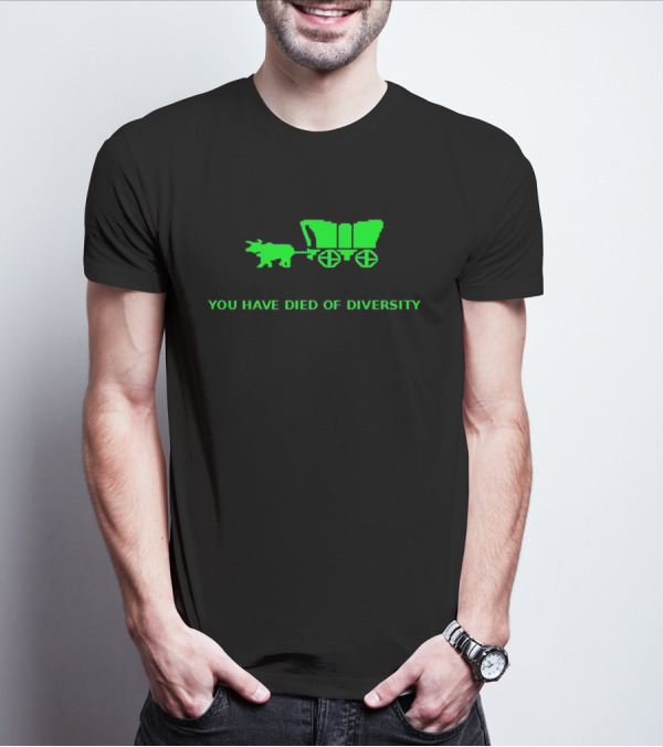 You Have Died Of Diversity Oregon Trail Pixel T-Shirt