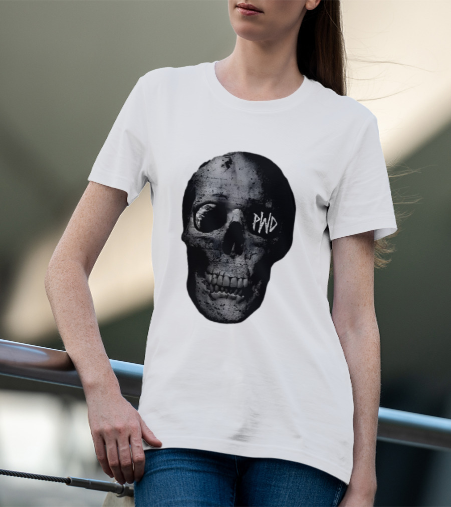 PWD Parkway Drive Dark Days 2012 Atlas Skull Image T-Shirt