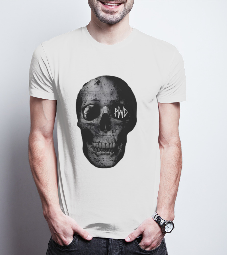 PWD Parkway Drive Dark Days 2012 Atlas Skull Image T-Shirt