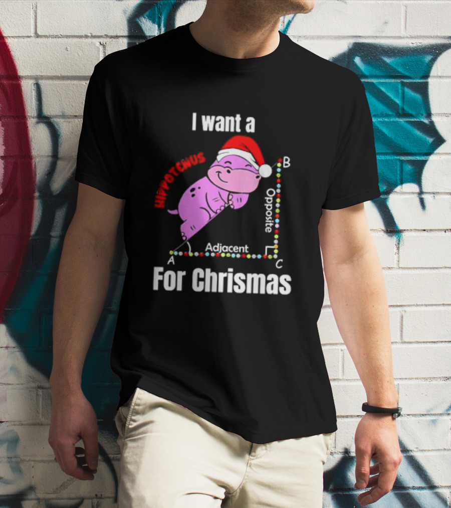 I Want A Hippotenuse ABC Adjacent Opposite For Christmas Cute Hippo T-Shirt