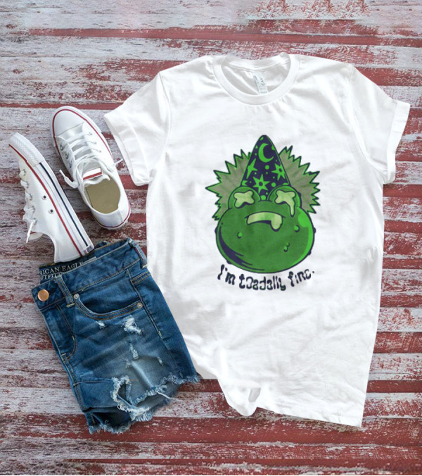 I'm Toadally Fine Vintage Green Toad Witch Hat Stars And Moon T-Shirt