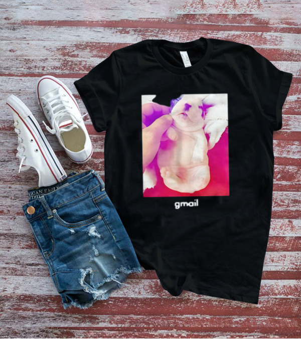 Pibble Palace Gmail Puppy Image T-Shirt