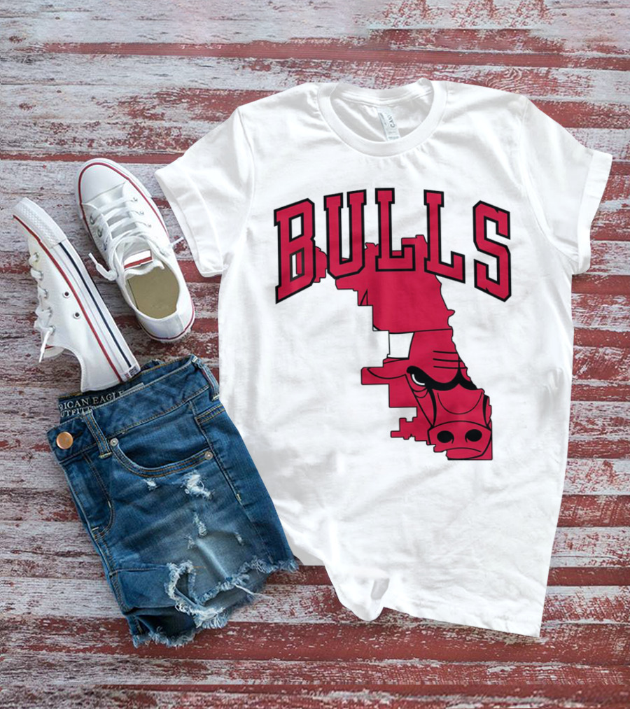 Bulls Chicago Map T-Shirt