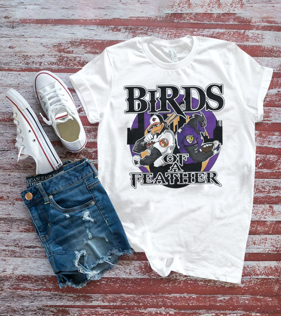 Birds Of A Feather Baltimore Ravens And Orioles T-Shirt