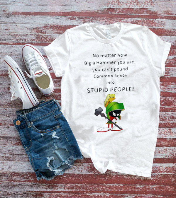 No Matter How Big A Hammer You Use, You Can't Pound Common Sense Into Stupid People T-Shirt