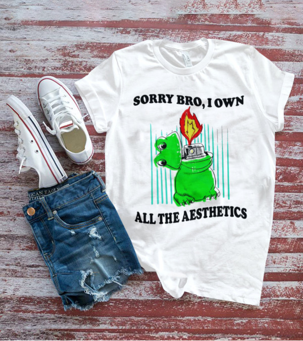 Sorry Bro I Own All The Aesthetics Melting Frog Lighter Flame T-Shirt