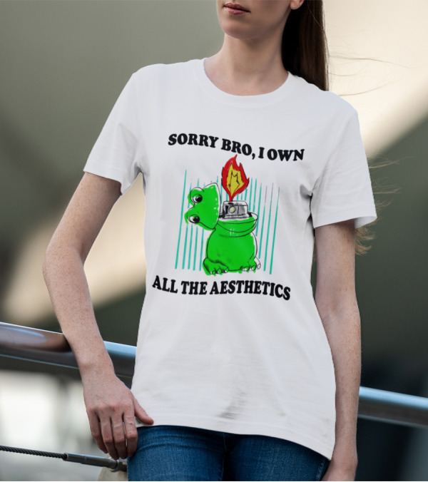 Sorry Bro I Own All The Aesthetics Melting Frog Lighter Flame T-Shirt