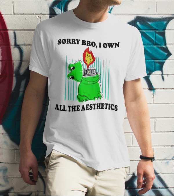 Sorry Bro I Own All The Aesthetics Melting Frog Lighter Flame T-Shirt