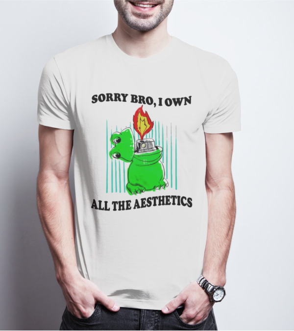 Sorry Bro I Own All The Aesthetics Melting Frog Lighter Flame T-Shirt