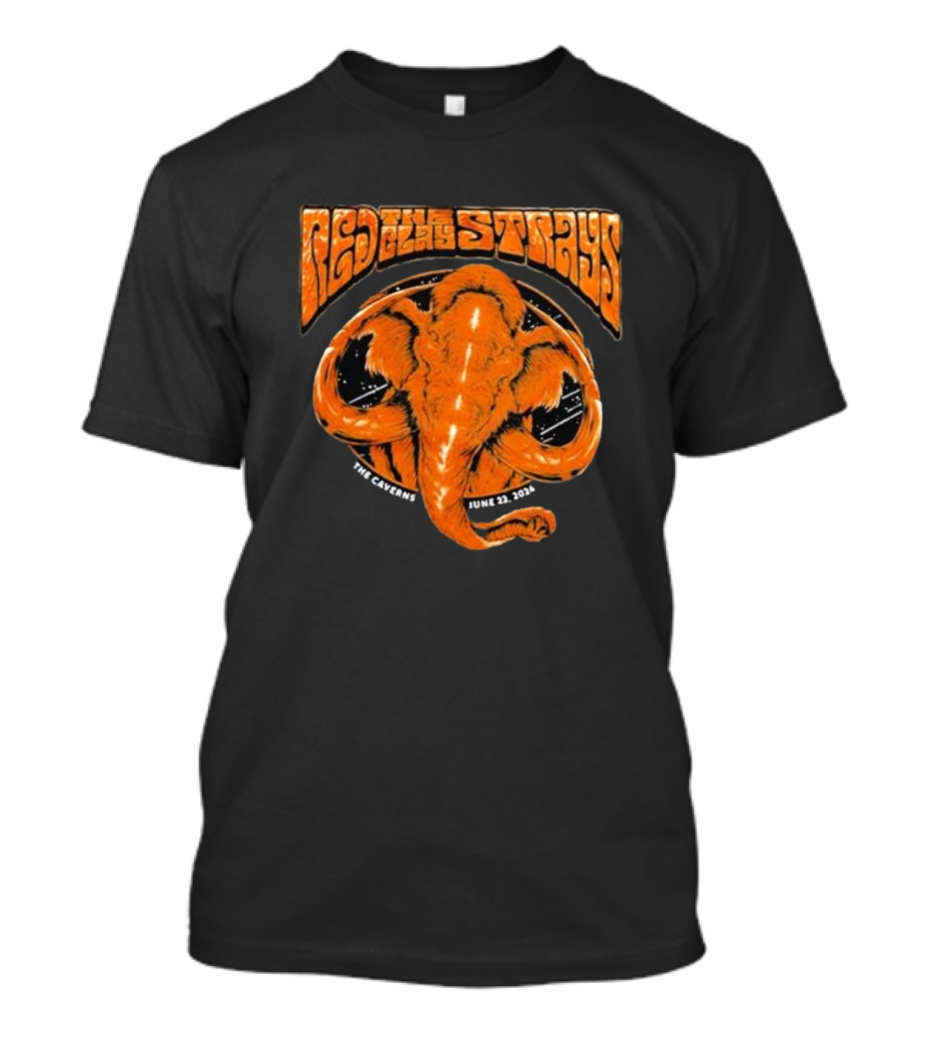 Red Clay Strays The Caverns June 22 2024 Mammoth T-Shirt