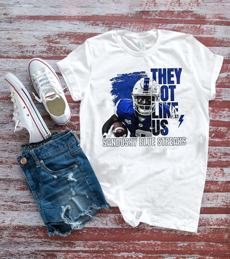 Sandusky Blue Streaks They Not Like Us Football Player Grunge T-Shirt