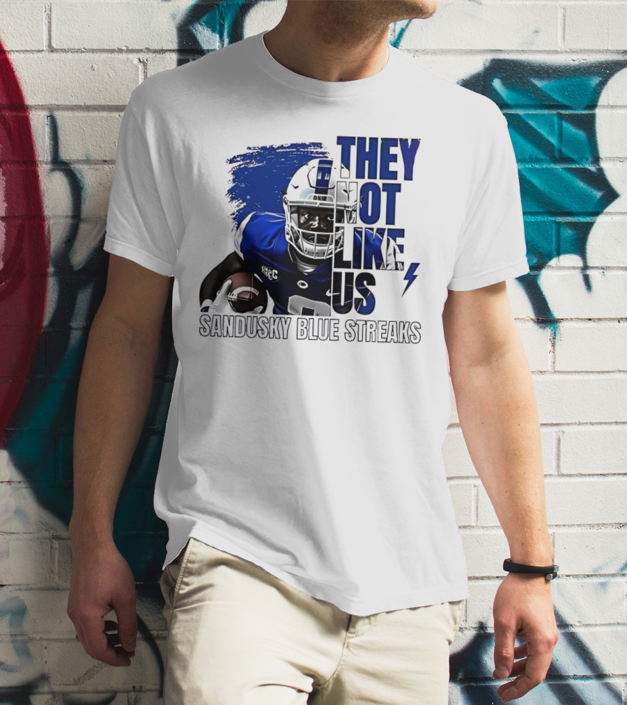 Sandusky Blue Streaks They Not Like Us Football Player Grunge T-Shirt