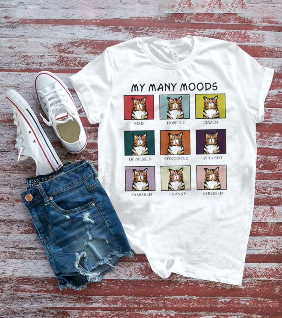 My Many Moods Mad Hopeful Dazed Depressed Contented Ashamed Famished Cranky Stressed T-Shirt