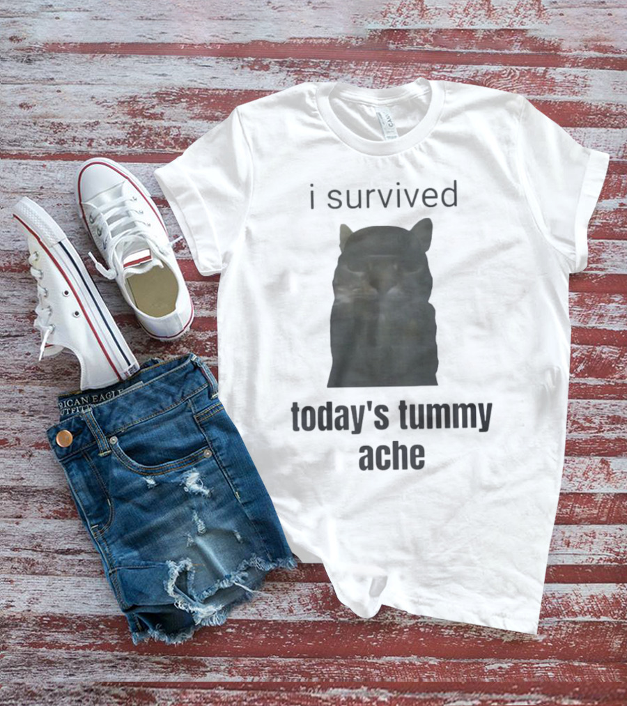 I Survived Today's Tummy Ache Cat Image T-Shirt