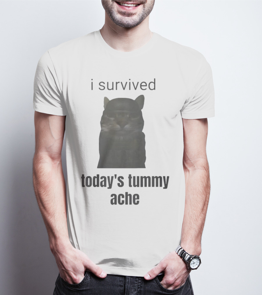 I Survived Today's Tummy Ache Cat Image T-Shirt