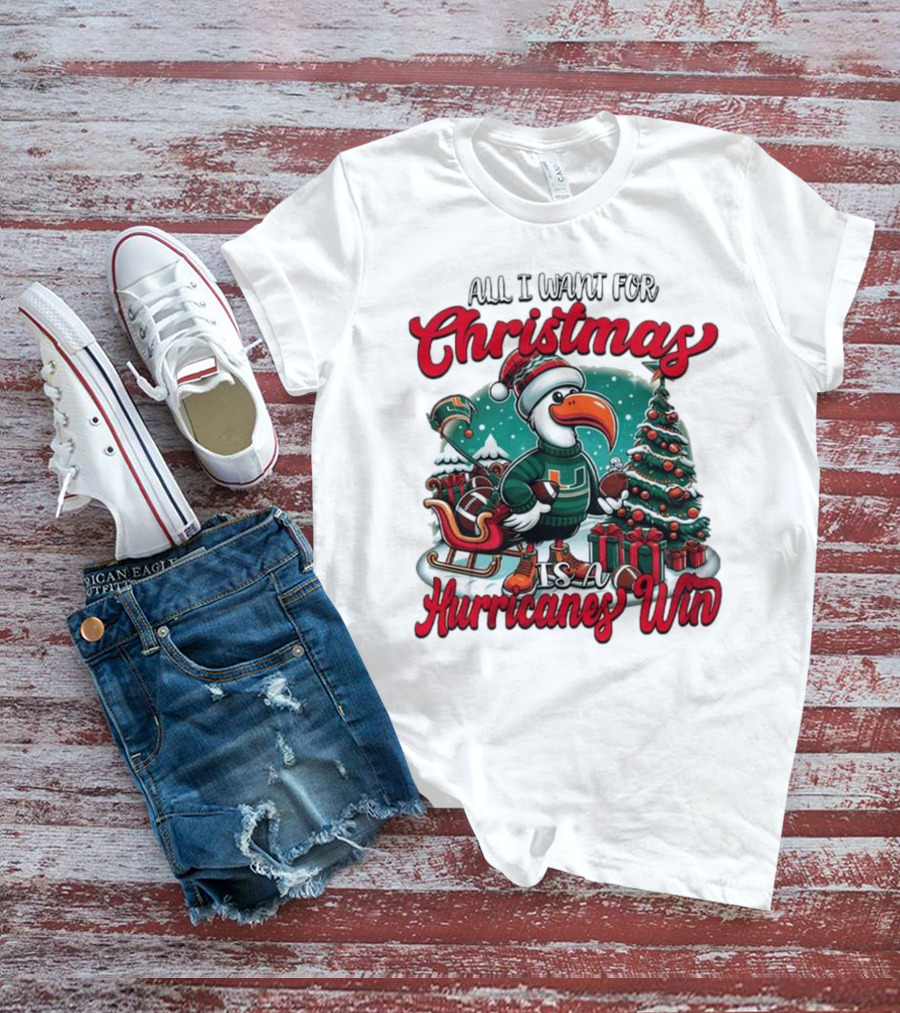 All I Want For Christmas Is A Hurricanes Win Santa Birdfest T-Shirt