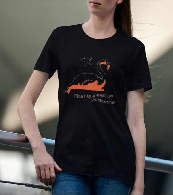 Flamingo I Don’t Know Where I Am And I Don’t Care With Star T-Shirt