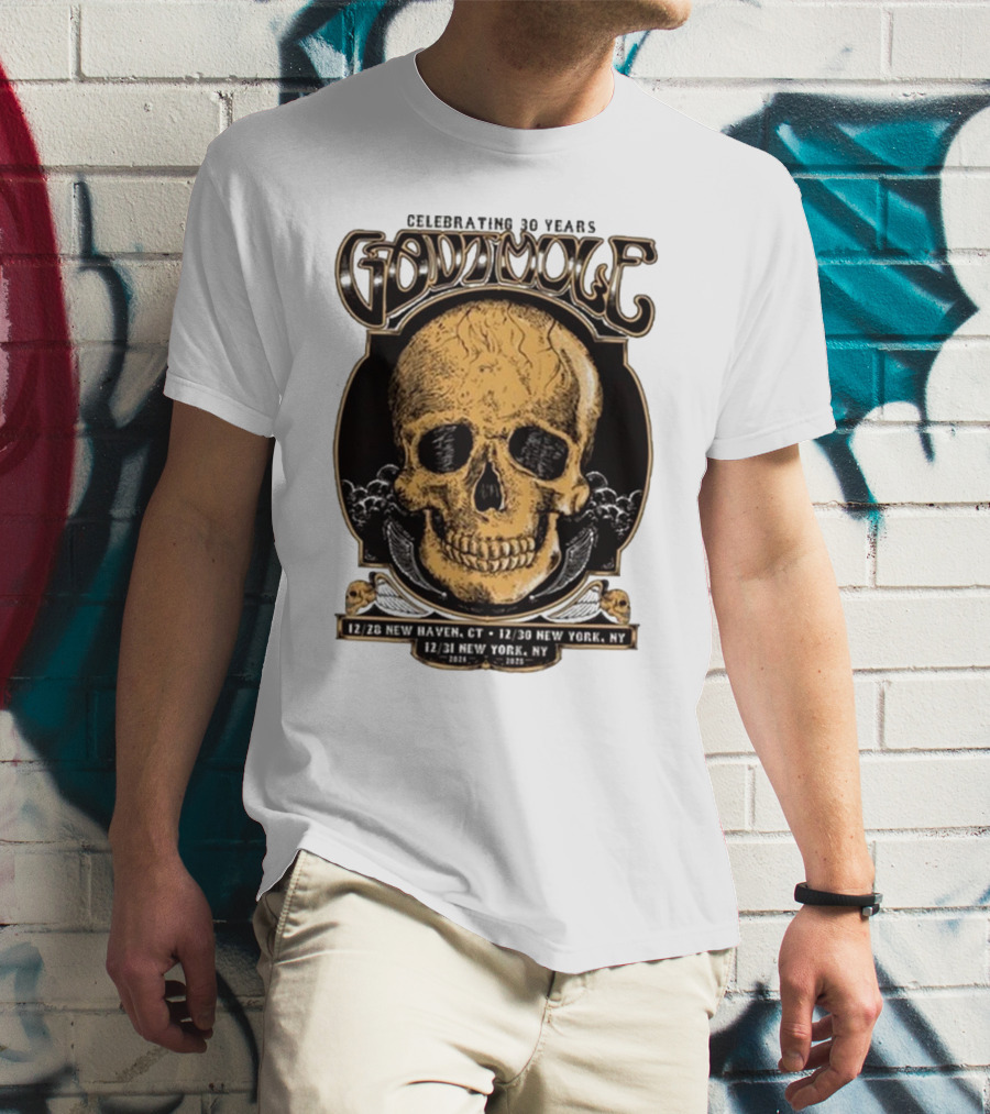 Celebrating 30 Years Gov’t Mule Skull Design Dec 28 New Haven CT Dec 30-31 New York NY T-Shirt