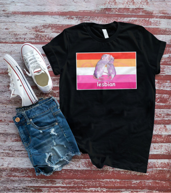 Lesbian Rat Pink And Orange LGBTQ Flag T-Shirt