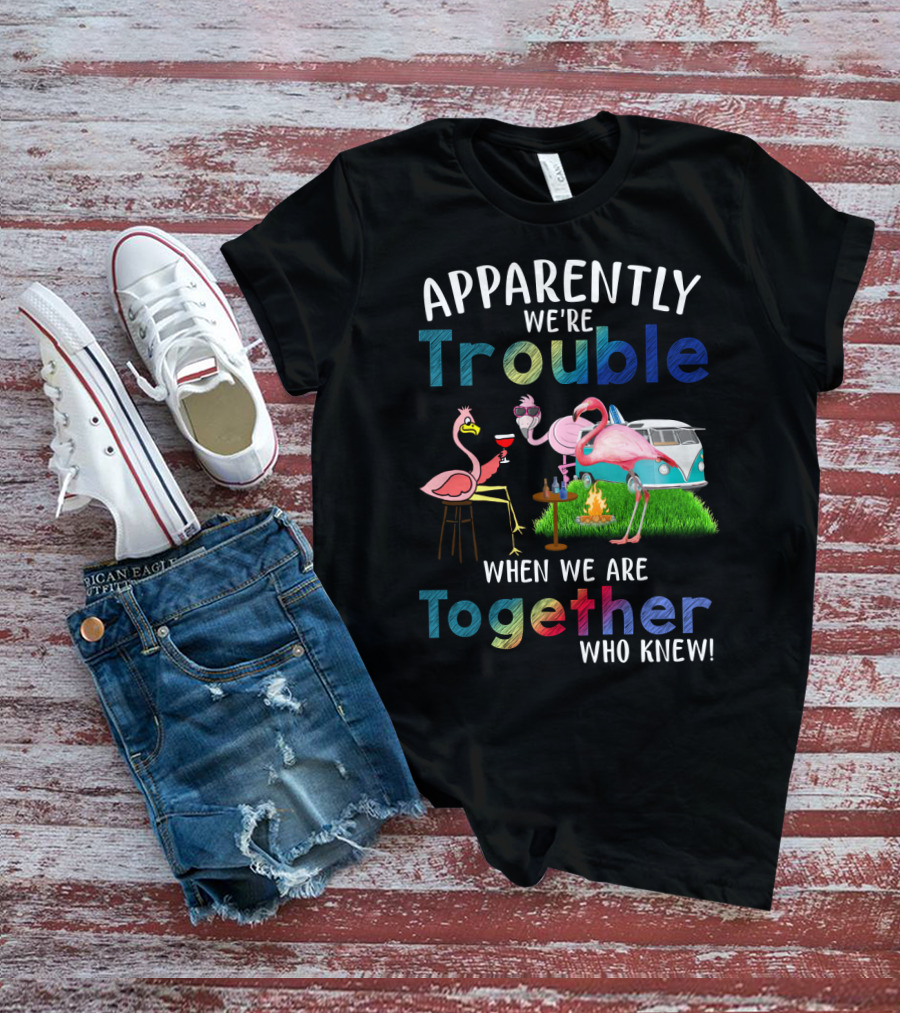 Apparently We're Trouble When We Are Together Flamingos Camping Van Campfire T-Shirt