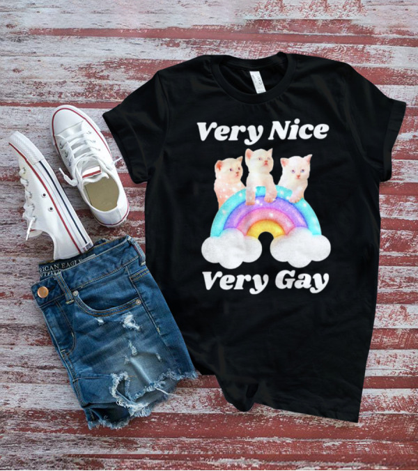 Very Nice Very Gay Cats On Rainbow T-Shirt