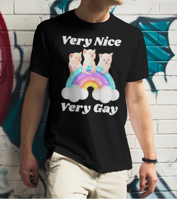 Very Nice Very Gay Cats On Rainbow T-Shirt